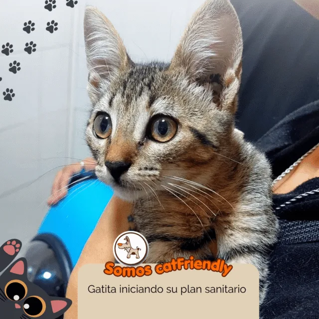 Paciente de La Cucha del Choco