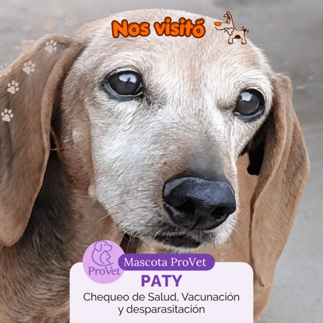 Paciente de La Cucha del Choco