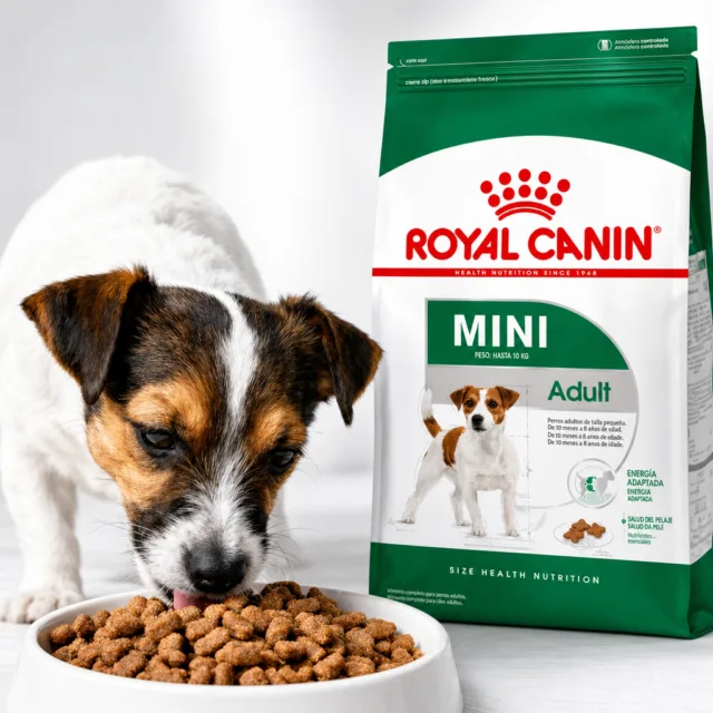 Royal Canin Mini Perro Adulto 7.5 Kg